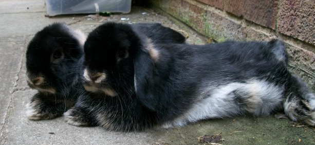 30716_1482824796844_4255818_n